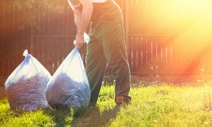 the best compostable trash bags for kitchen and home