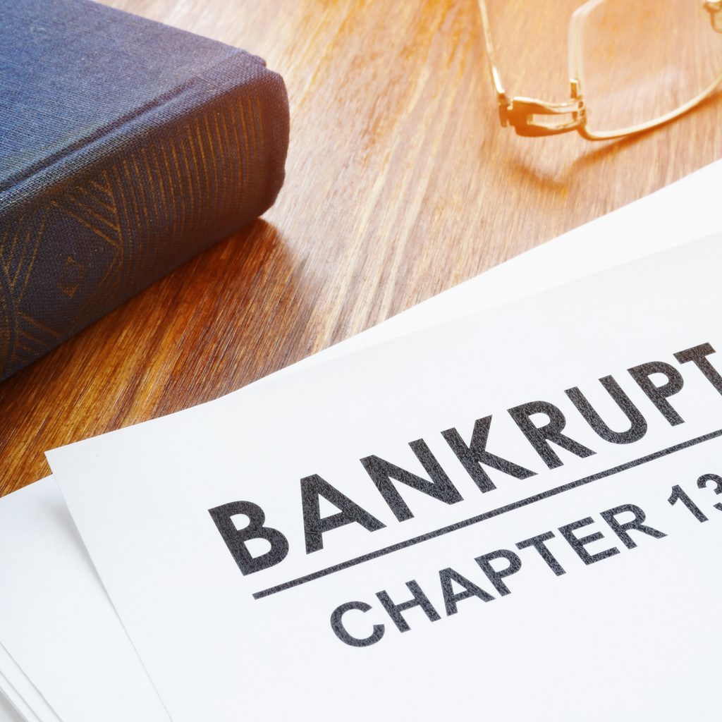 Chapter 13 Bankruptcy Petition And Book
