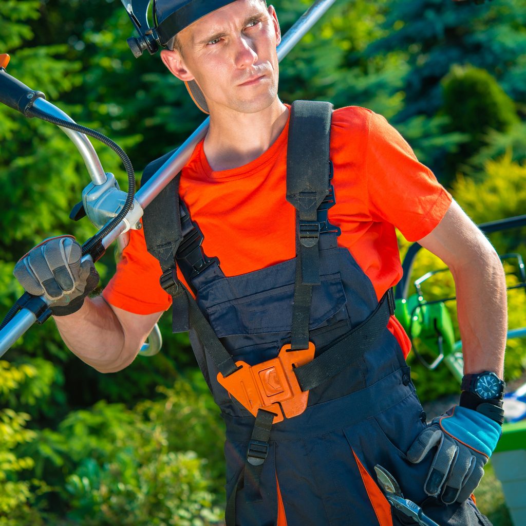Professional Gardener With Tools
