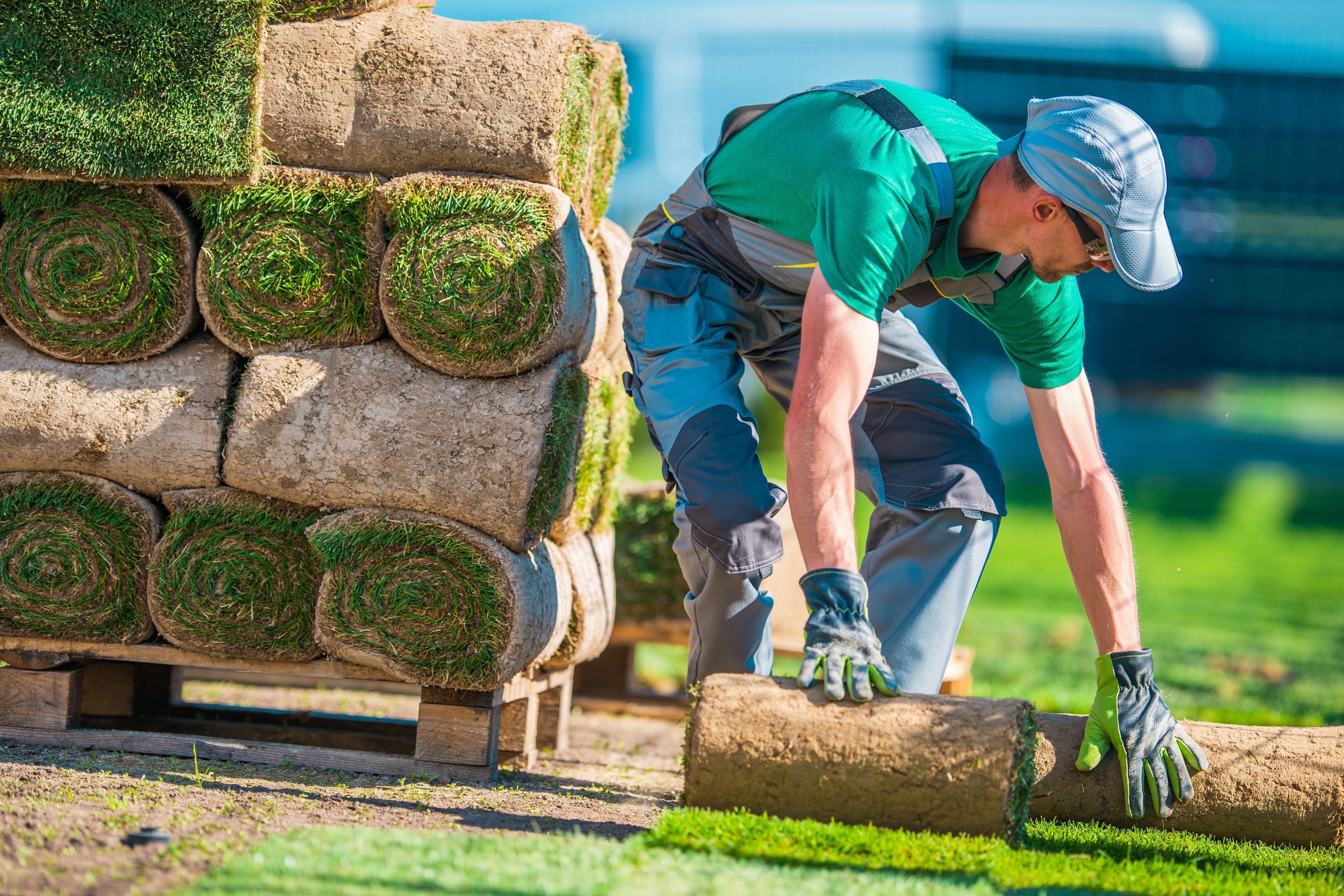Man installing natural grass Turf
