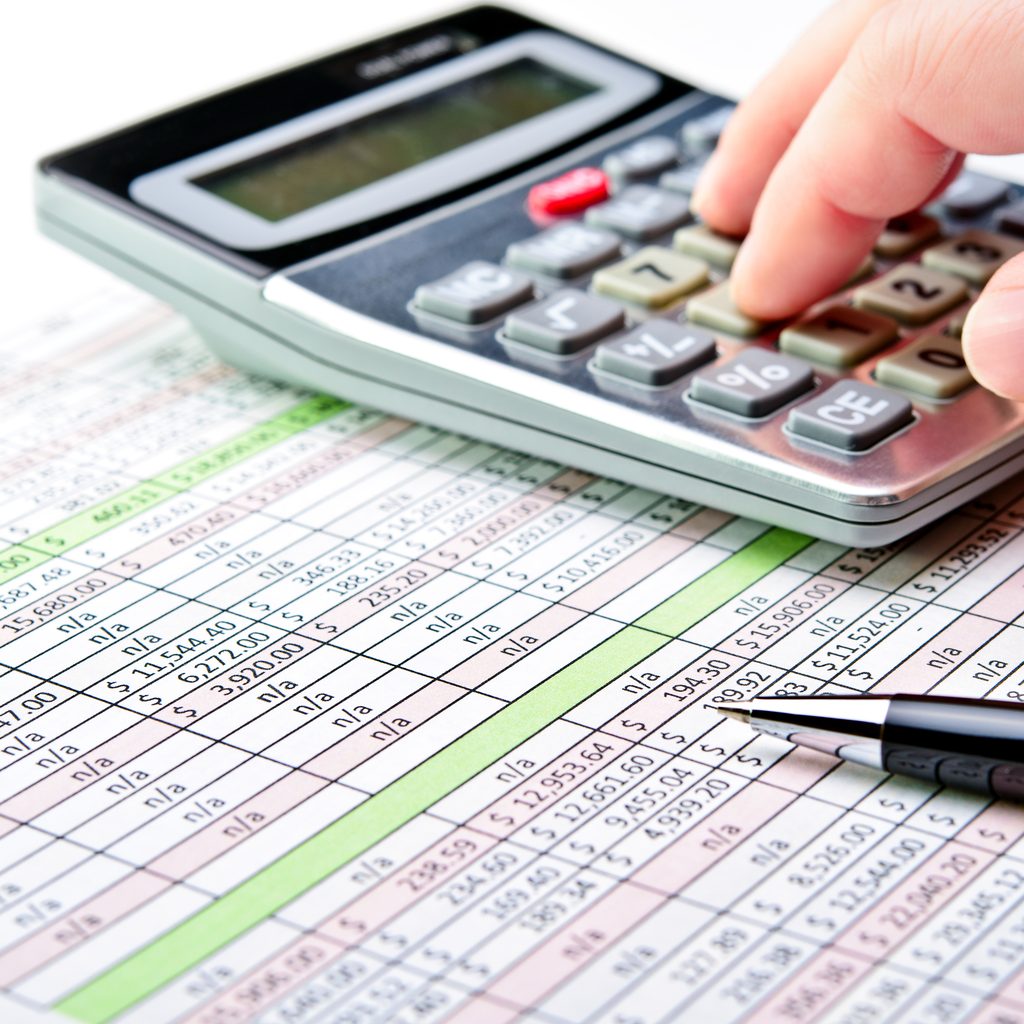 detailed accounting spreadsheet.