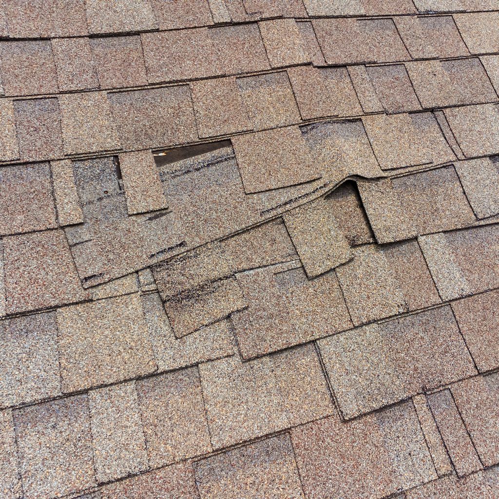 Damaged roof shingles that need repair