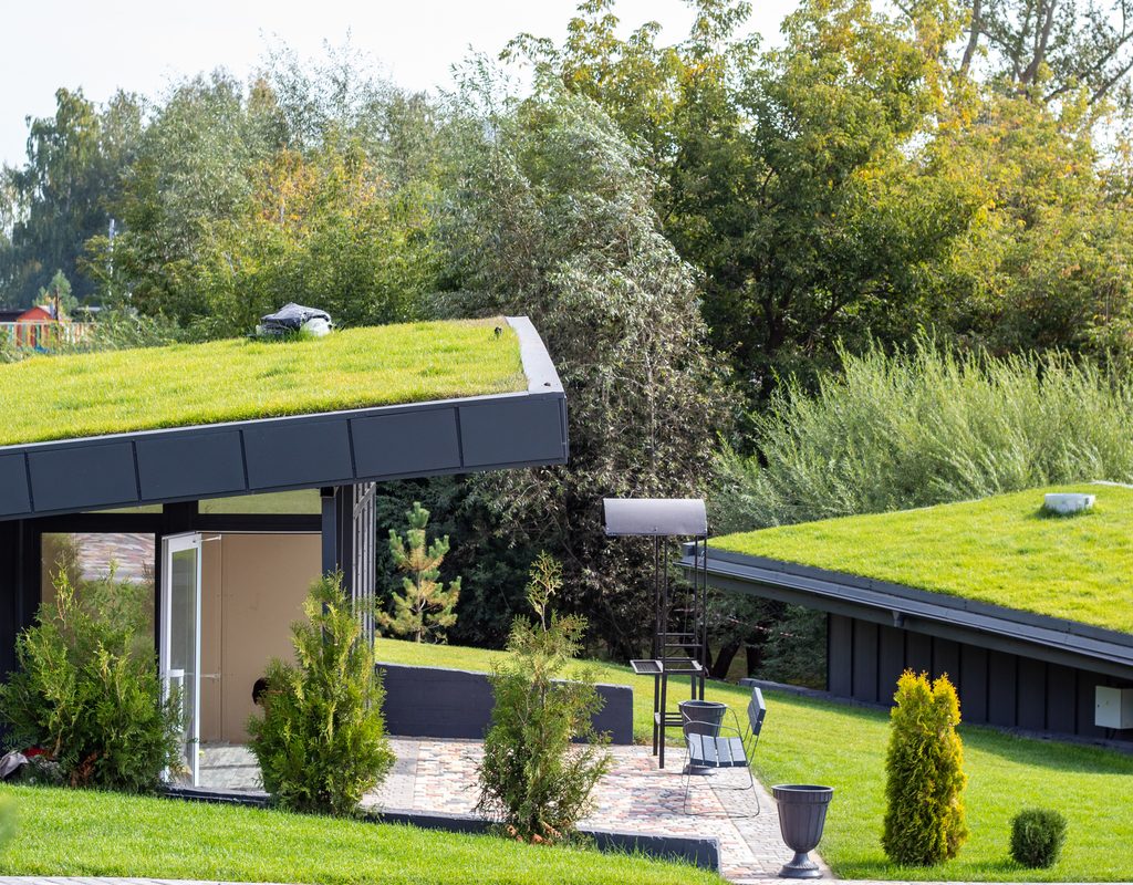Modern home with a green roof