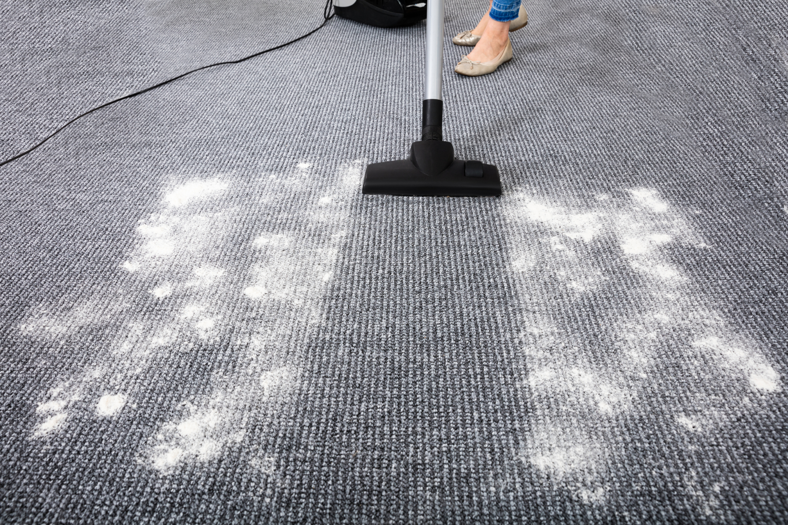 The Best Carpet Cleaner Powder to Keep Carpets Fresh and Clean ToughJobs