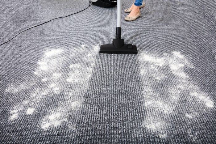 the best carpet cleaner powder