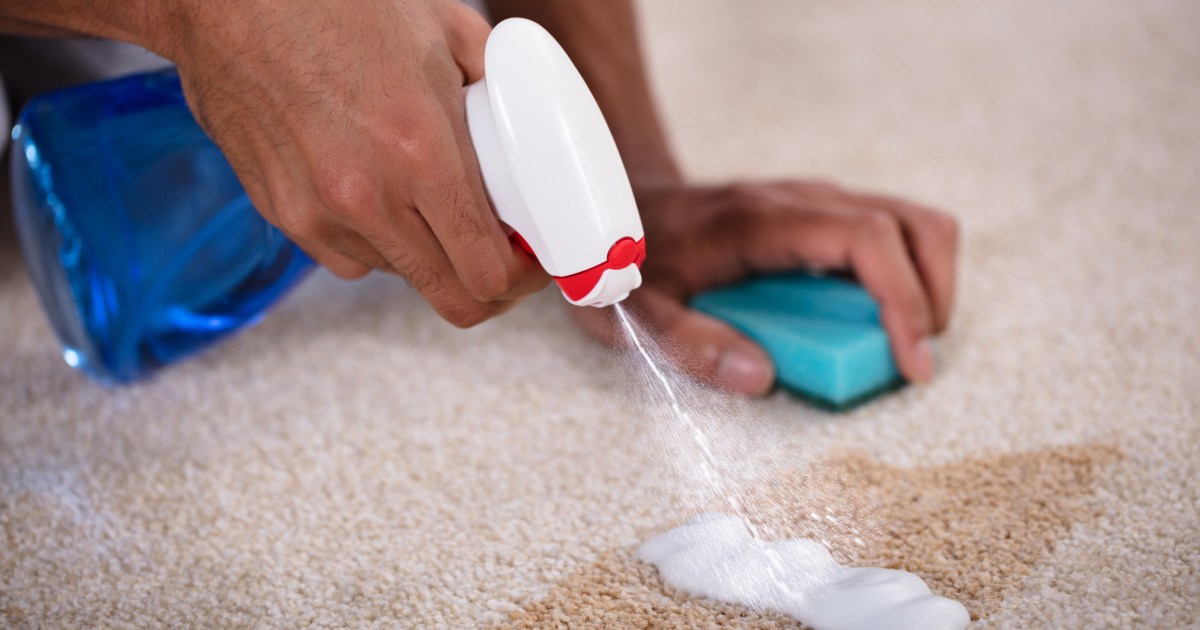 The Best Carpet Spot Cleaners for Troublesome Messes ToughJobs
