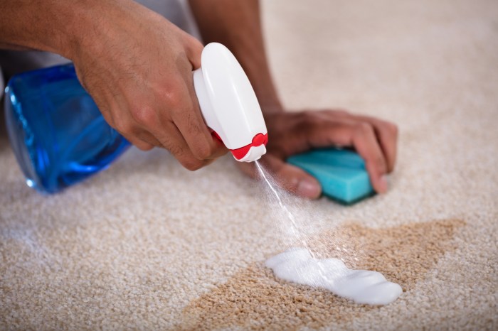 the best carpet spot cleaner