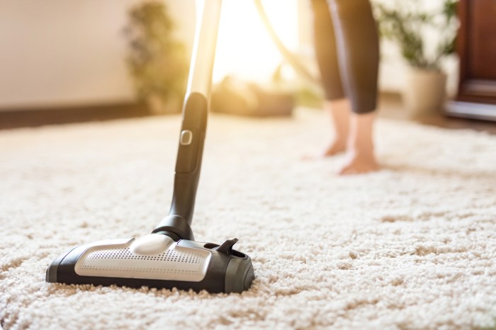 the best car carpet cleaners for interior and detailing vacuum cleaner