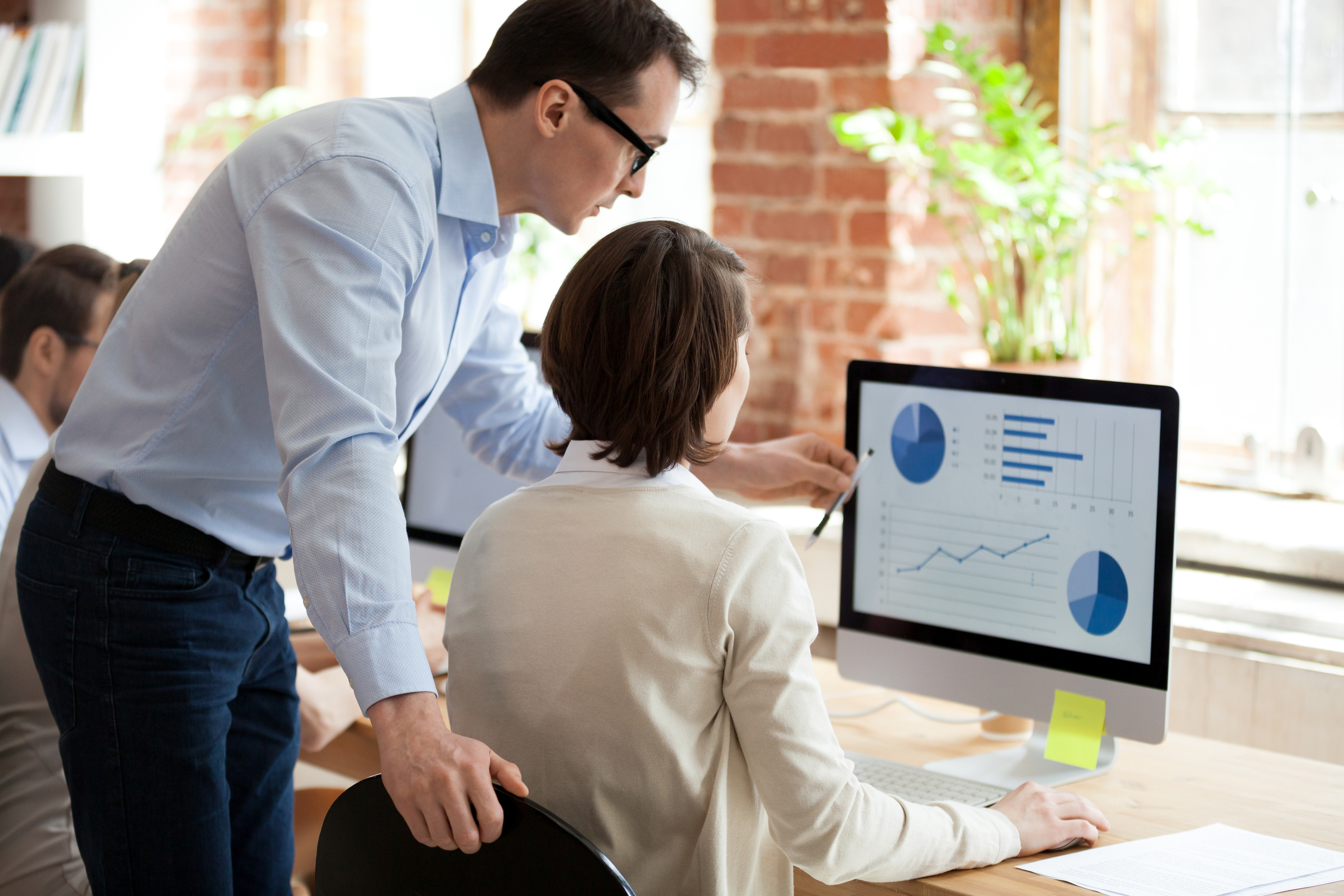 Executive Mentoring Employee