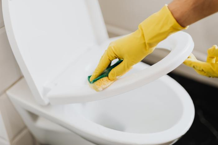 Person cleaning toilet seat