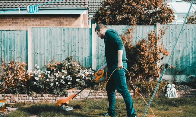 Man cutting weeds in garden