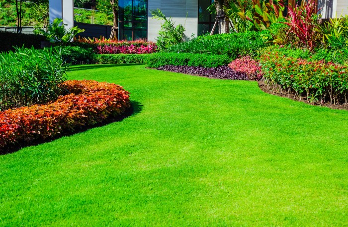 lawncare business license front yard  landscape design with multicolored shrubs intersecting bright