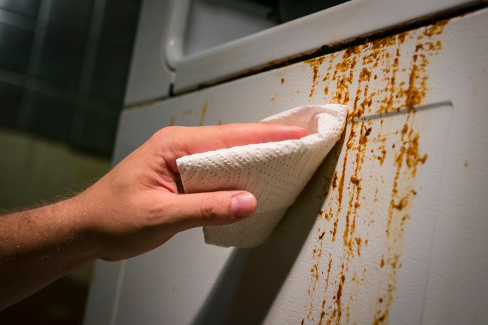 restaurant health code violations hand cleaning baked on kitchen grime side of oven