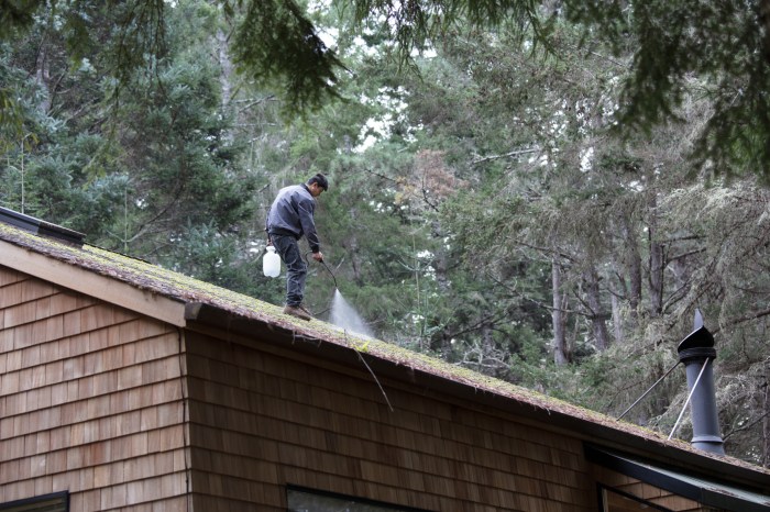 Cleaning moss from a roof
