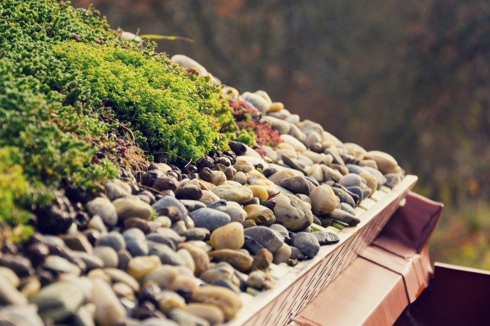 Close up of a green roof