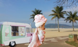Ice cream and ice cream food truck