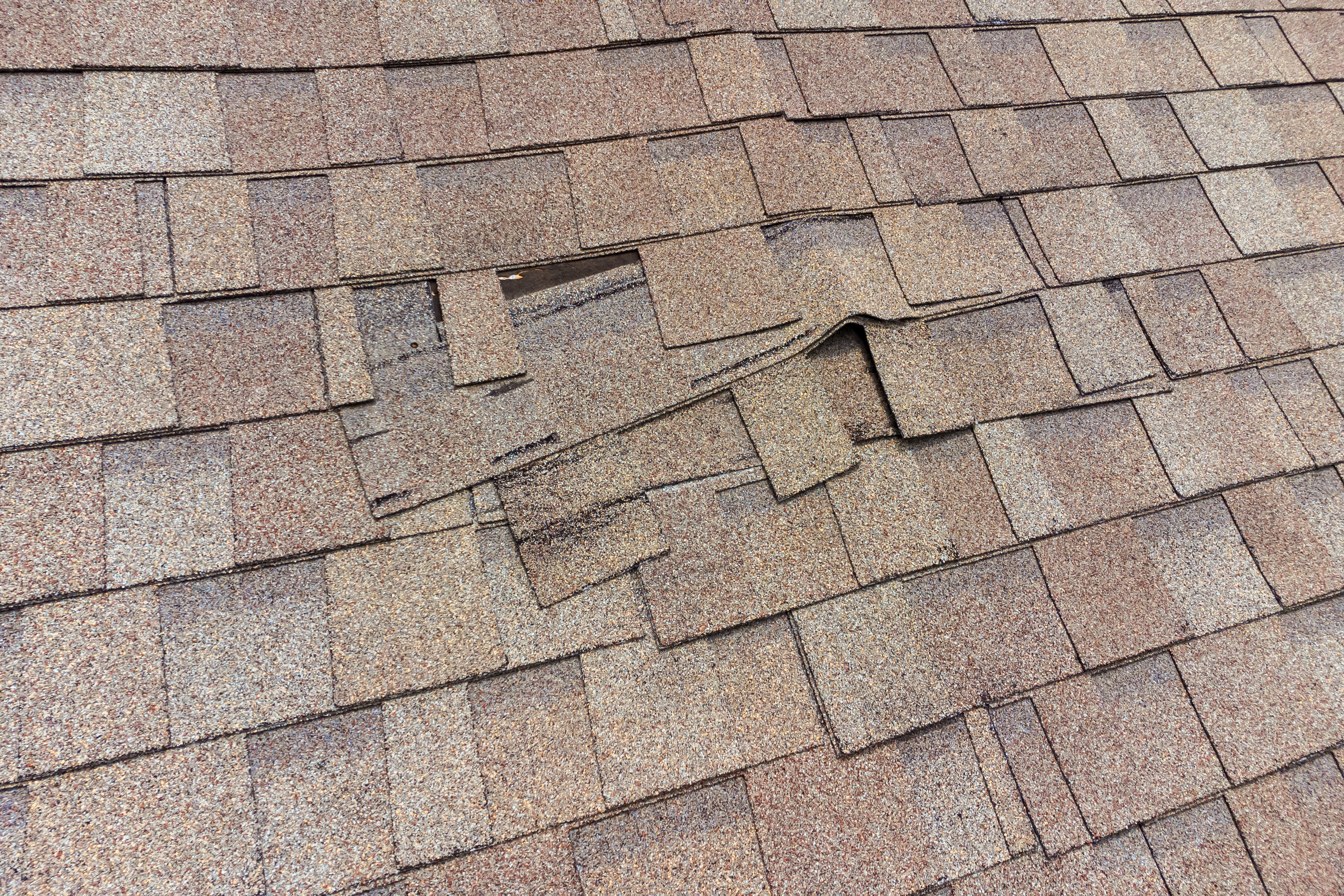 Damaged roof shingles that need repair